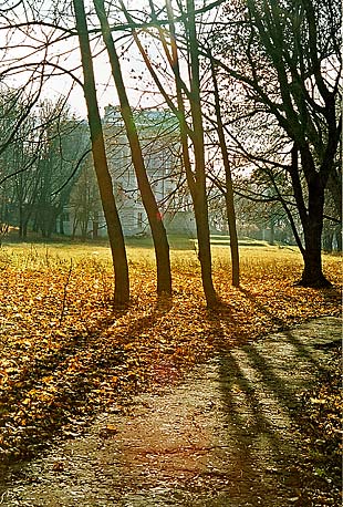 Богородицкий парк осенью (автор фото Бабин А.П.)