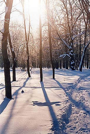 Богородицкий парк зимой (автор фото Бабин А.П.)